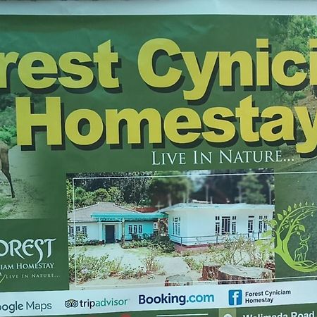 Forest Cyniciam Homestay 奥希亚 外观 照片