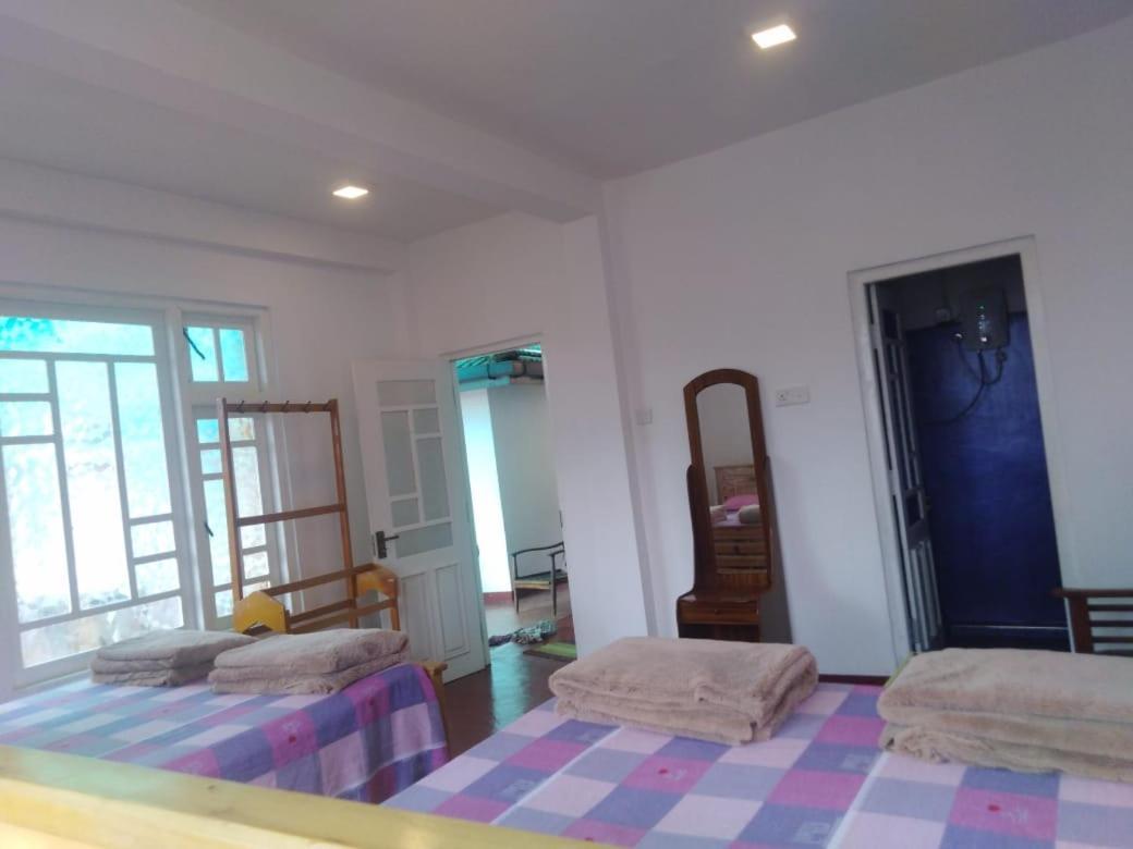 Forest Cyniciam Homestay 奥希亚 外观 照片