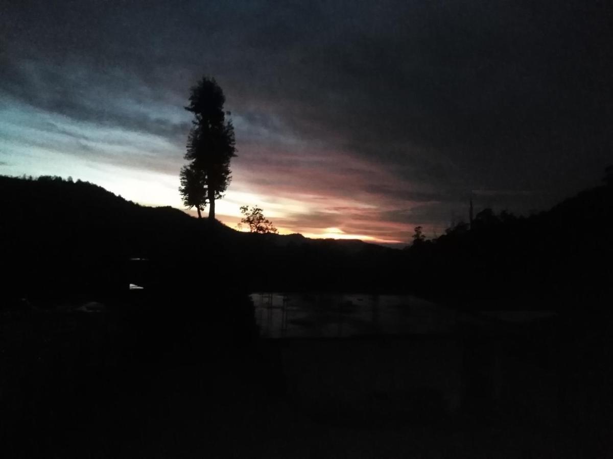 Forest Cyniciam Homestay 奥希亚 外观 照片