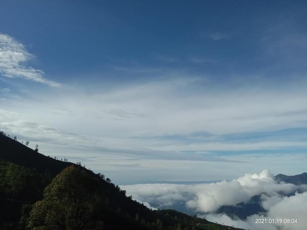 Forest Cyniciam Homestay 奥希亚 外观 照片