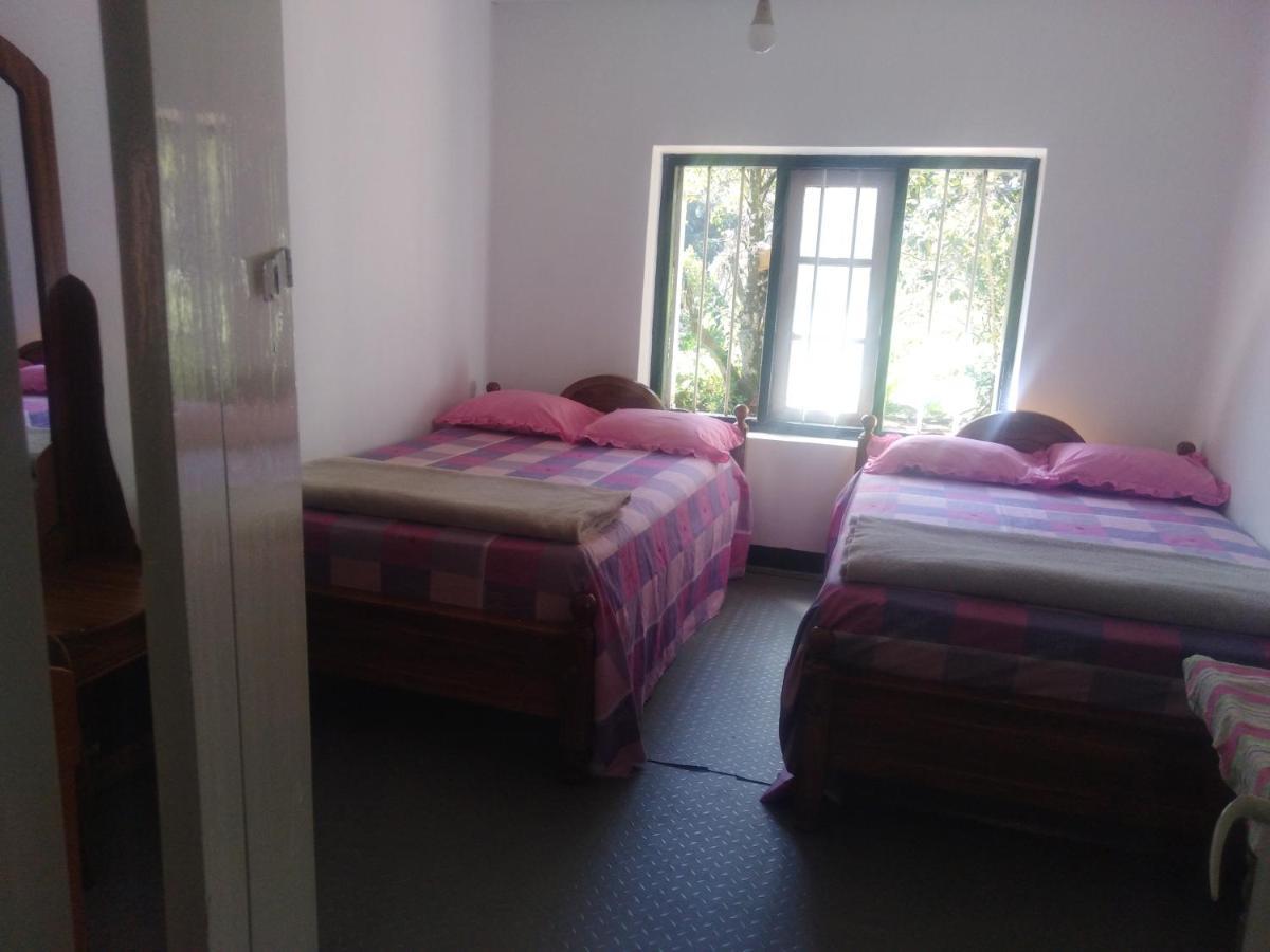 Forest Cyniciam Homestay 奥希亚 外观 照片