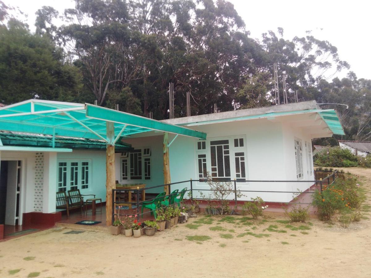 Forest Cyniciam Homestay 奥希亚 外观 照片