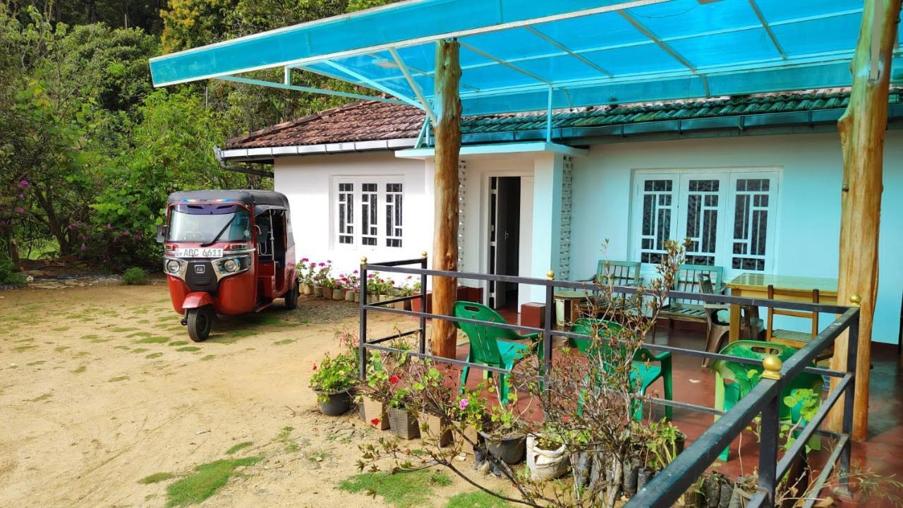 Forest Cyniciam Homestay 奥希亚 外观 照片