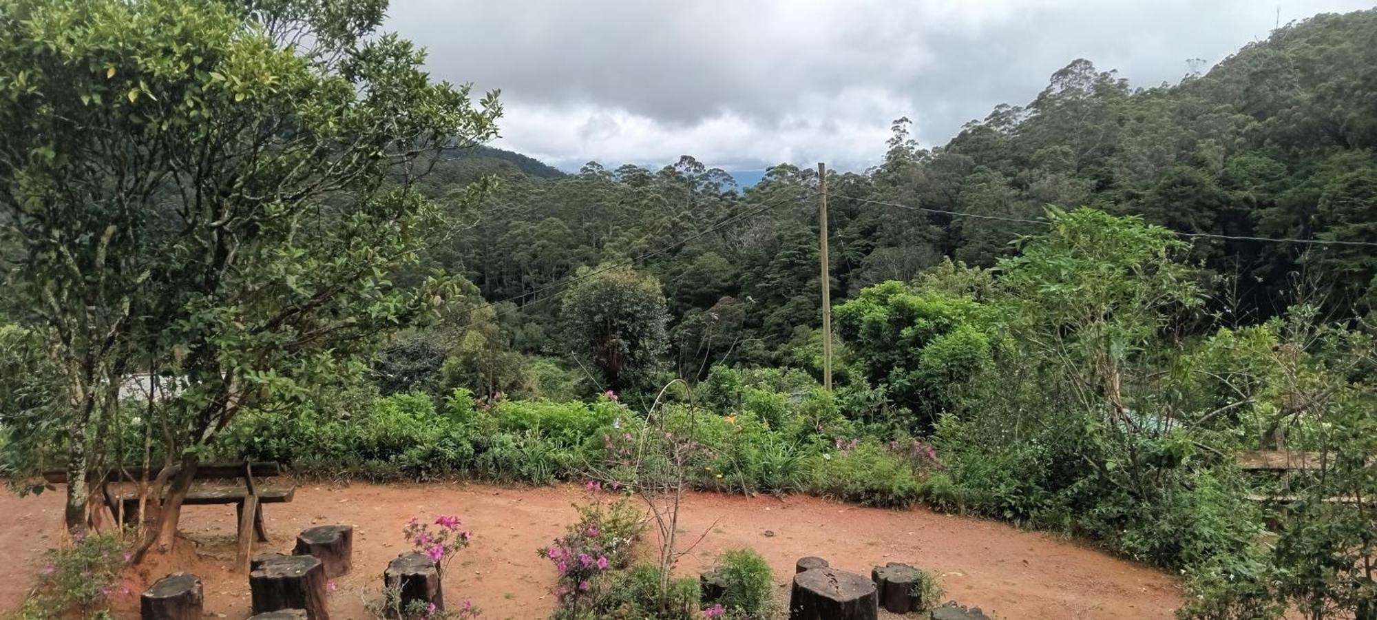 Forest Cyniciam Homestay 奥希亚 客房 照片