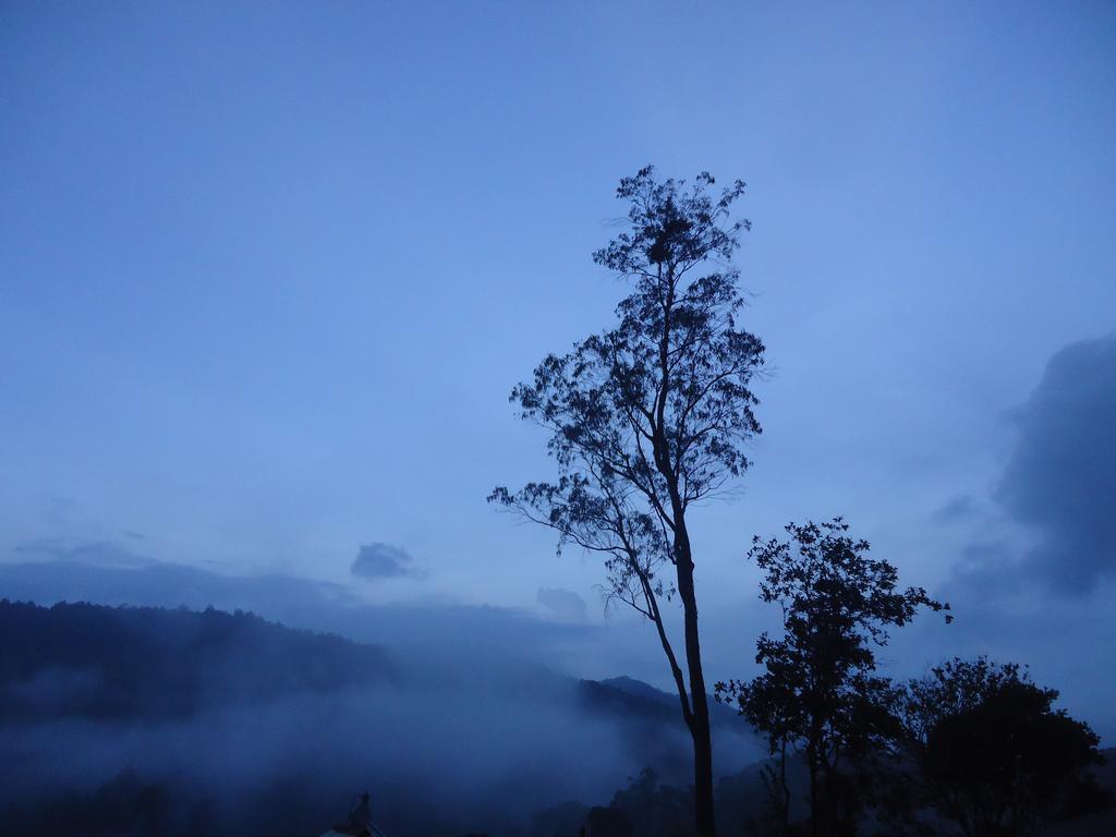 Forest Cyniciam Homestay 奥希亚 外观 照片