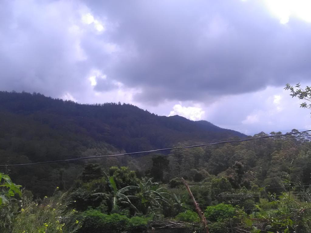 Forest Cyniciam Homestay 奥希亚 外观 照片