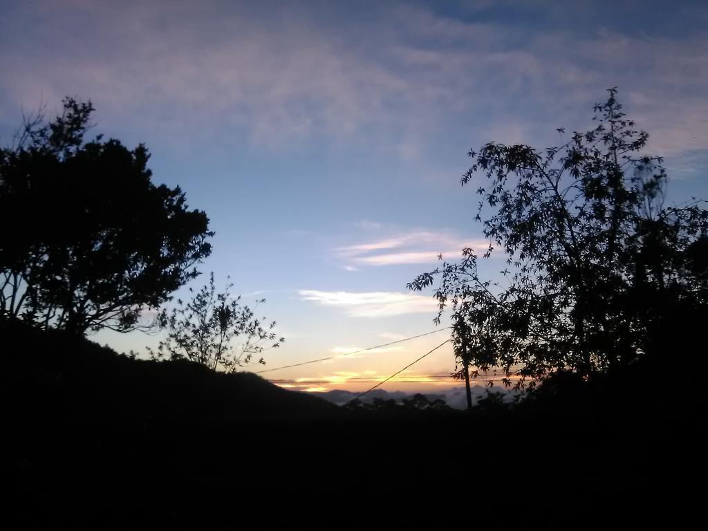 Forest Cyniciam Homestay 奥希亚 外观 照片