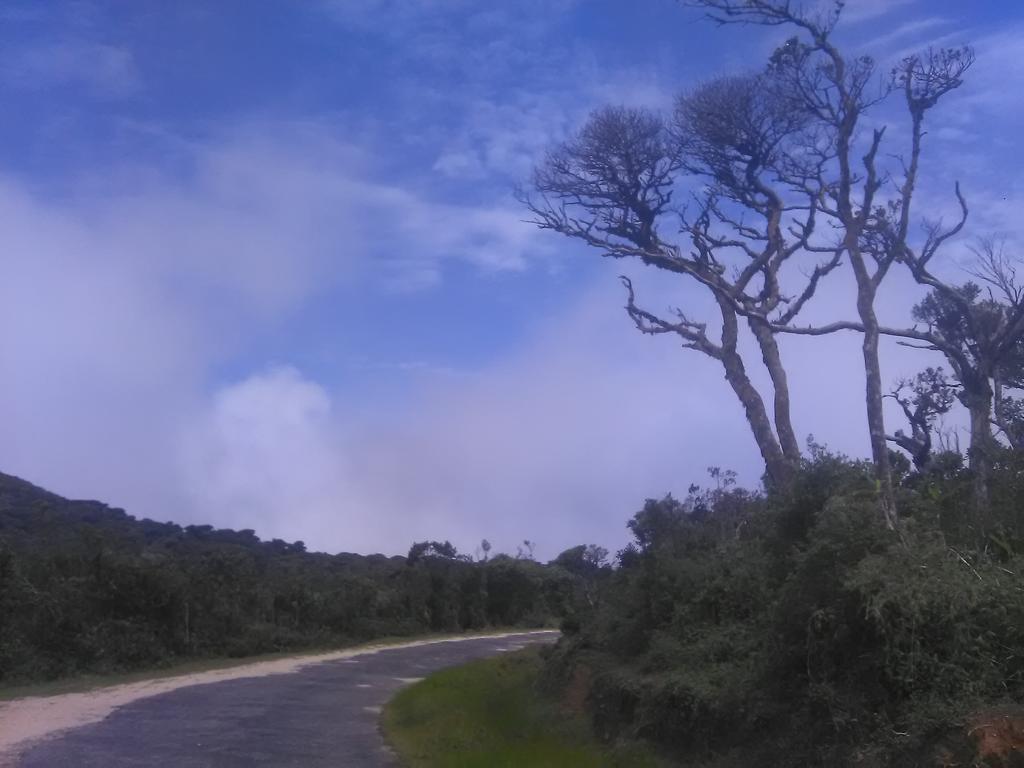 Forest Cyniciam Homestay 奥希亚 外观 照片
