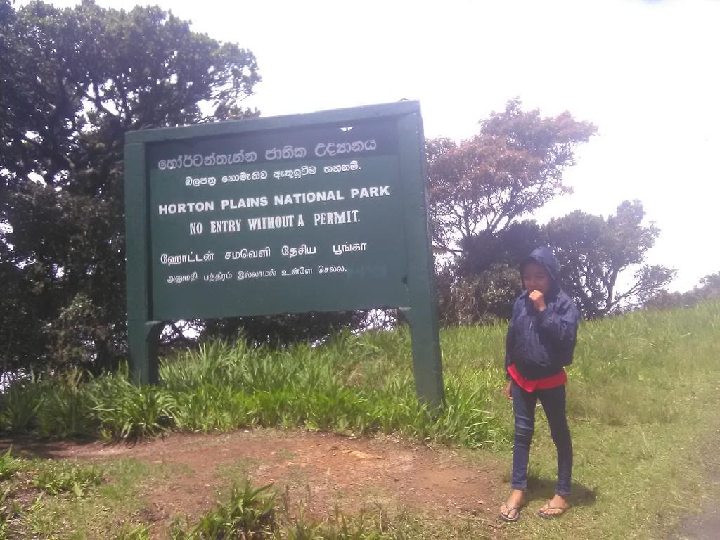 Forest Cyniciam Homestay 奥希亚 外观 照片