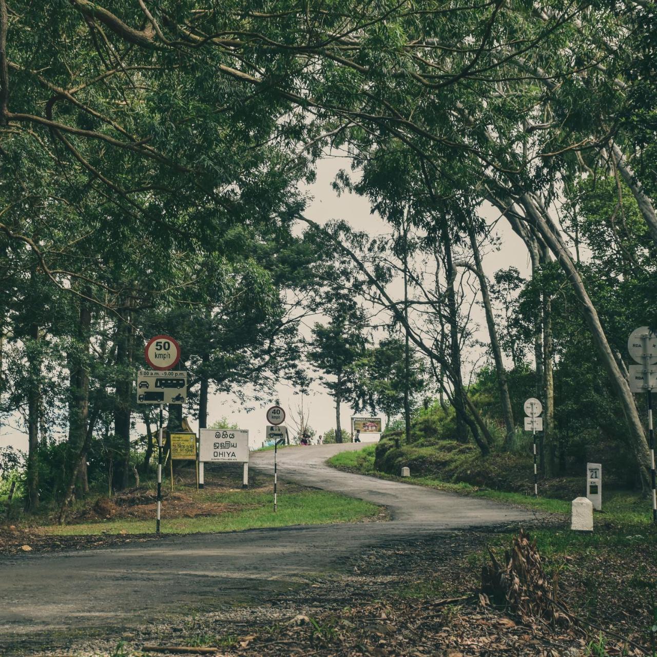 Forest Cyniciam Homestay 奥希亚 外观 照片
