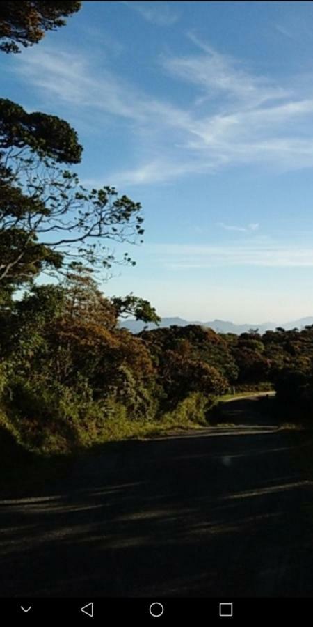 Forest Cyniciam Homestay 奥希亚 外观 照片