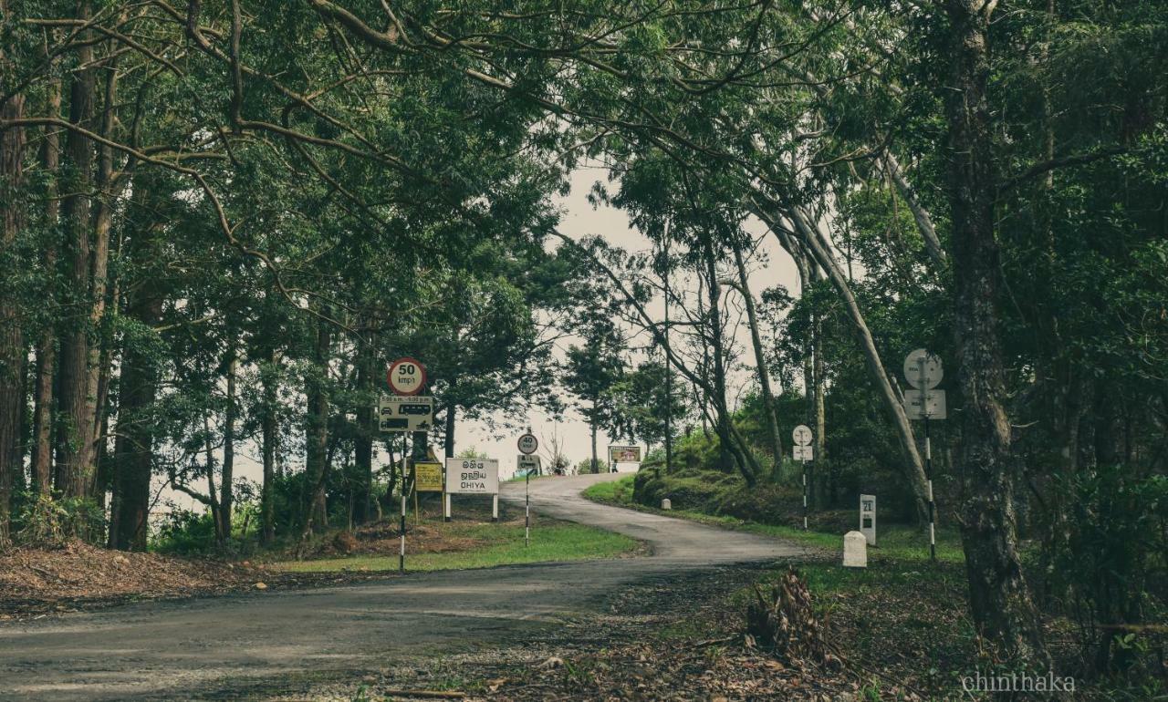 Forest Cyniciam Homestay 奥希亚 外观 照片